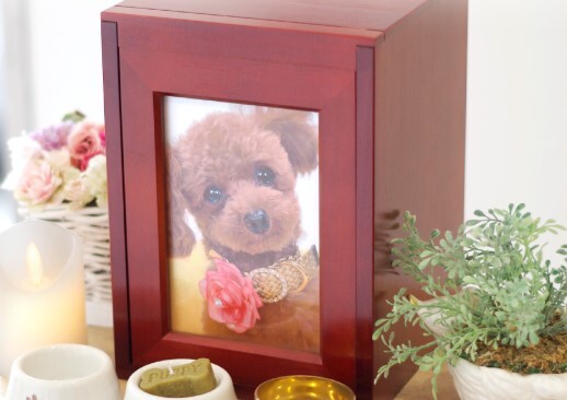 ディアペット(DEARPET)とは？