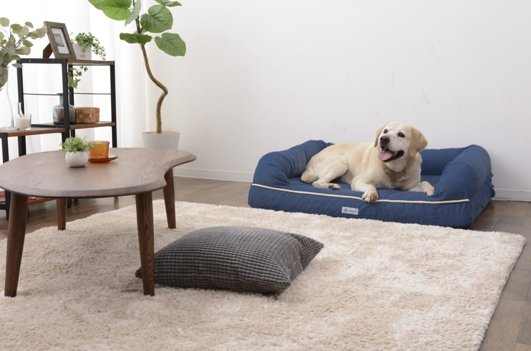 エムールねどっこ